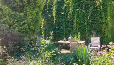 Ogród Pałacowy - Foto 4, Garden