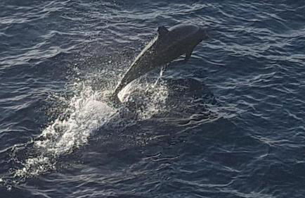 Etxie La casa de Mundaka EBI 326 - Foto 75