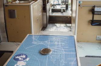 Oscar the Puma at Field of Dreams - Foto 11