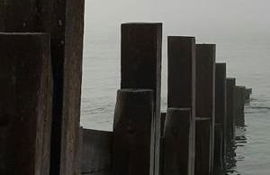 Horizon View - Photo 52