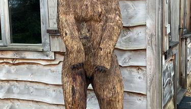 Oak ridge cabin - Foto 2