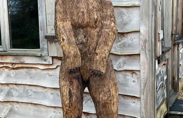 Oak ridge cabin - Foto 2