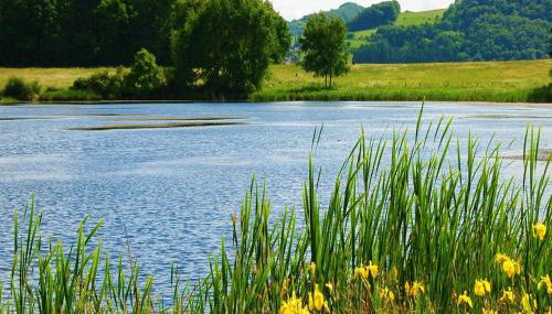 Ferienwohnung Bausenbergblick - Foto 5