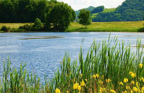 Ferienwohnung Bausenbergblick - Foto 5