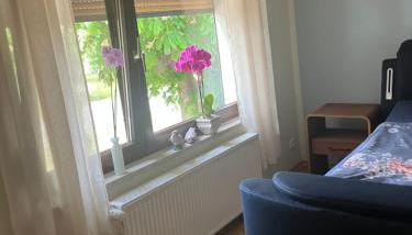 Elb- Havel Ferienhaus - Foto 3