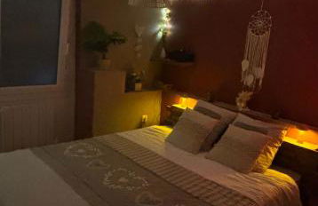 Au nid d amour - Foto 3