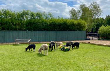 Willow Court Farm Studio East & Petting Farm, 8 mins to Legoland & Windsor, 15 mins to Lapland UK - Foto 20