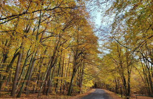 Apartamenty Promyk Wisełka - Foto 77