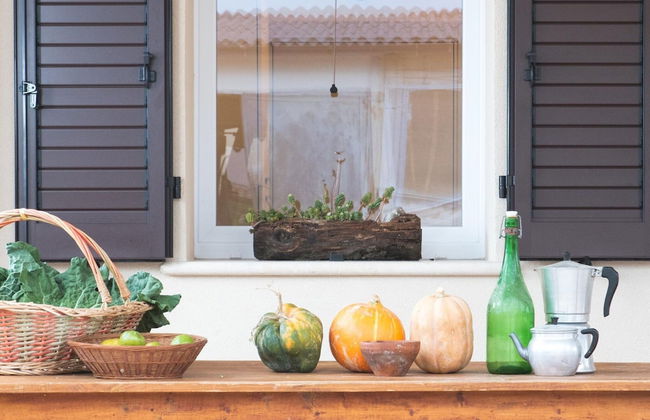 Bright Apartment in a Farmhouse With Swimming Pool - Foto 13