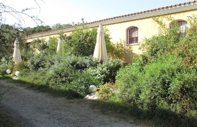 Cavalli di S'Arcaite - Foto 57