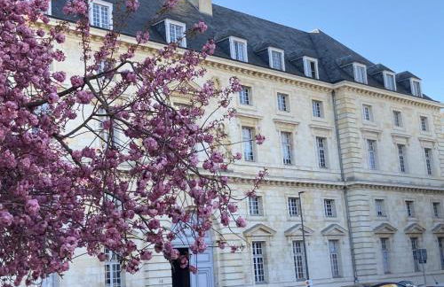 Appartement calme et raffiné en hypercentre dans une résidence historique parking - Foto 65
