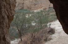 Apartamentos "El Balconico" - Foto 62