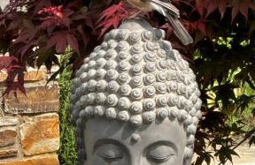 Gemütliche Wohnung in Ortsrandlage - Photo 44