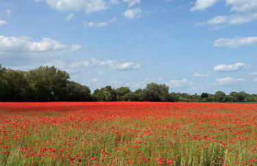 Maisonette im Fachwerkhaus - Foto 42
