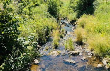 Ferienhaus am Bächle - Foto 15