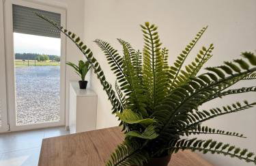 Słoneczny domek - Foto 19