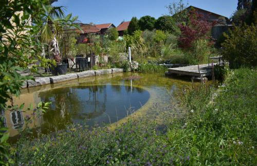 Palmengarten - Foto 30