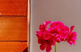 Cobalto 2 Quartos Parque Cidade Pet Friendly - Foto 8