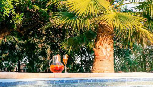 Quinta dos Cochichos – Country Houses - Foto 5, Garden, Garden view