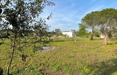 Uliveto Sant' Isidoro - Foto 46