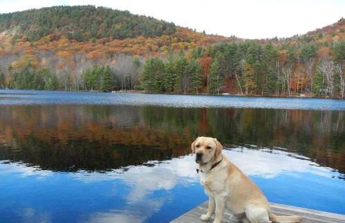 Lovely Lakeside Cabin Rental near Pharaoh Lake Wilderness Area in New York - Photo 20