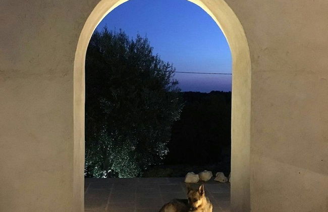 Azienda Agricola Spirdo - Foto 26