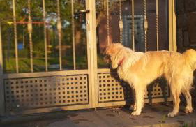 Casa Rural Tejedor - Foto 9