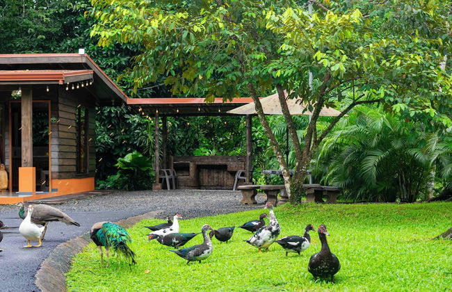 Los Lagos Casas de Campo - Foto 30