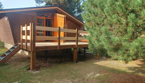 Chalet l'Epicéa T3 en forêt avec Terrasse & Jardin à 5 min à pied des pistes P2 et commerces - Foto 4