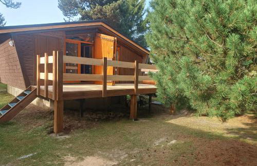 Chalet l'Epicéa T3 en forêt avec Terrasse & Jardin à 5 min à pied des pistes P2 et commerces - Foto 4