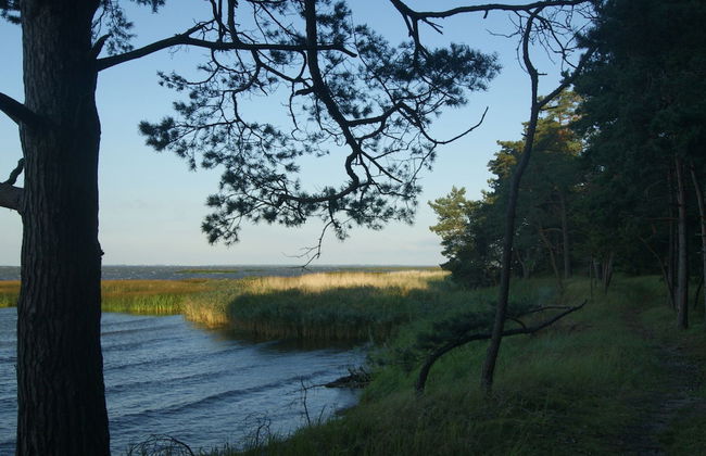 Holiday Home in Karnocicie by Szczecin Lagoon - Foto 10