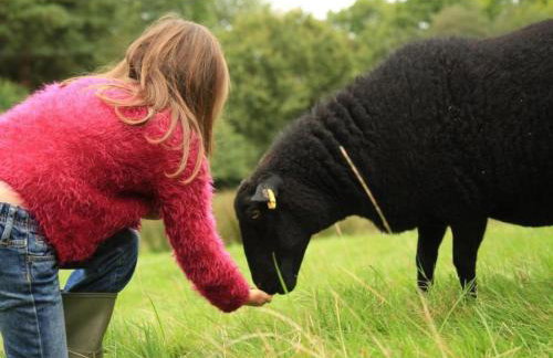 Rhydyfantwn Fach Cottage, Cardigan - Foto 24