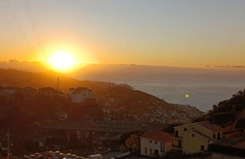 Quinta do Araújo - GuestHouses - Foto 14