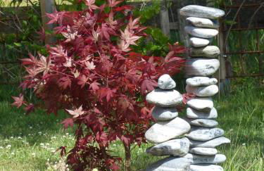 Ammervital - Apartments - Foto 24