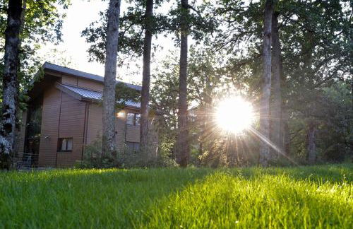 Résidence le Clos des Chênes - Foto 18