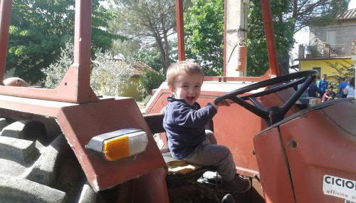 Agriturismo Fattoria Il Bruco - Foto 5