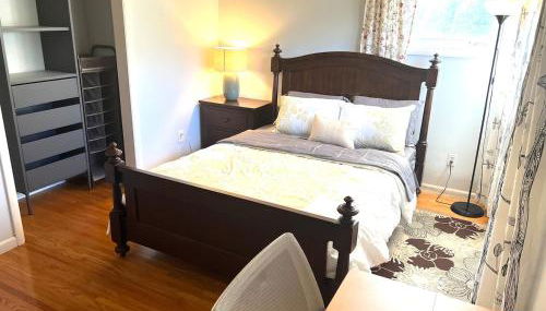 Cozy 3BR Rochester Brighton Home by Downtown UofR - Foto 5