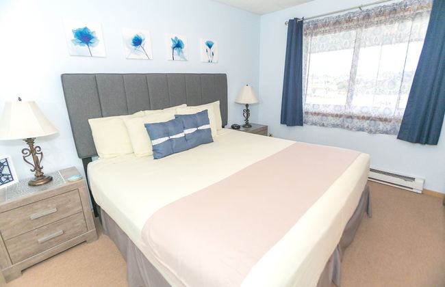 The Grey Gull - Foto 73