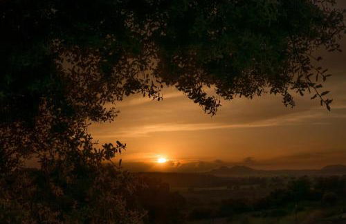 Finca Los Collados de San Miguel - Foto 35