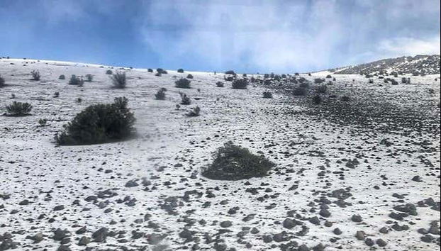 Chimborazo Volcano Trip + Balbanera Church - Foto 3