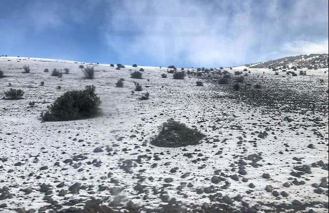 Chimborazo Volcano Trip + Balbanera Church - Foto 3