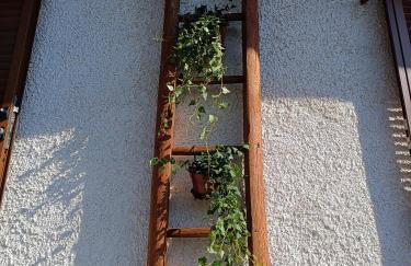 Rifugio Futopia - start here your journey to the discovering of the Alpi Graie - Foto 15