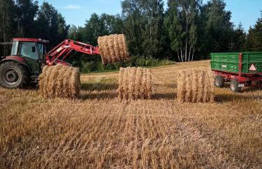 Poziomkowy Zakątek - Foto 40
