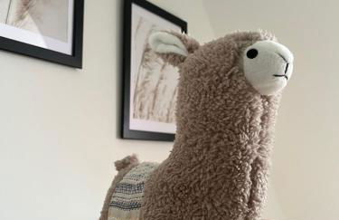 Moderne Fewo mit toller Aussicht - inmitten der Natur - Foto 47