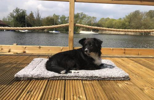 Nature's Nook - Norfolk Broads - Foto 15