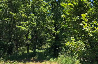 Kinsman sur Moment-Ardèche-com - Foto 15