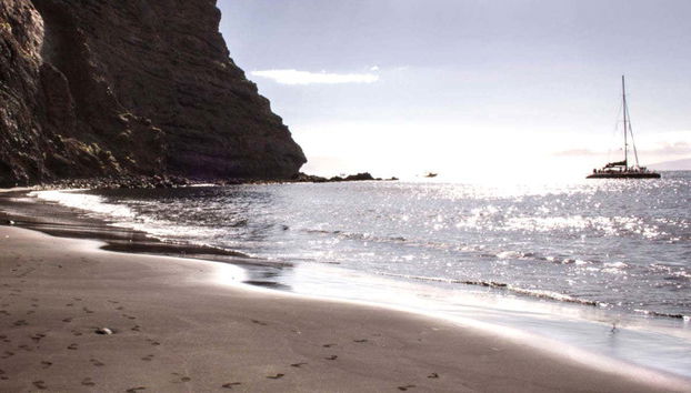 Giro in catamarano di 5 ore con avvistamento e ascolto di cetacei - Foto 3