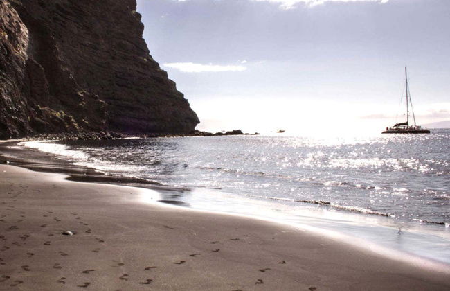Giro in catamarano di 5 ore con avvistamento e ascolto di cetacei - Foto 3