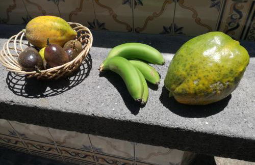 Casa da Bungavillia - Photo 48