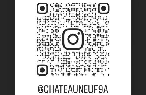 Château 9 Neuf - Foto 41